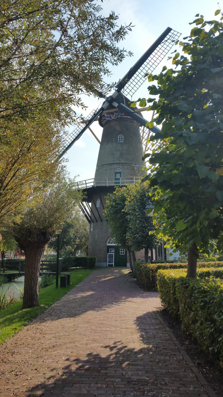 Pieter, Den Arend 04 Bergambacht 06-10-2018