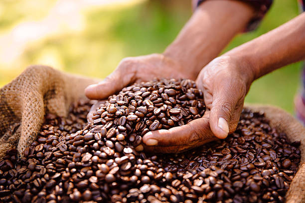 organic-coffee-7.jpg