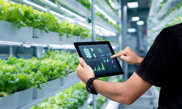 eko certifikat