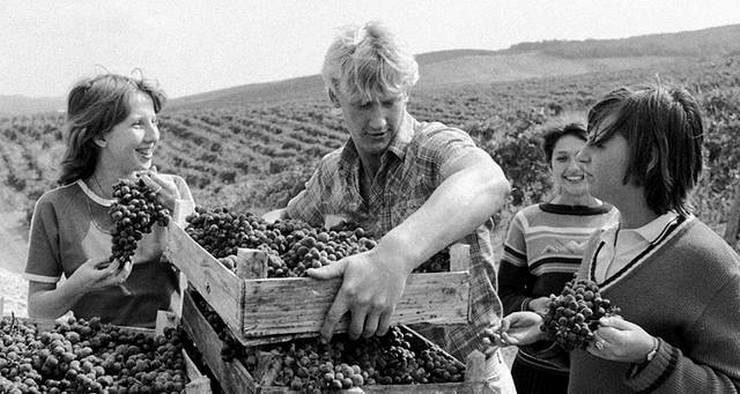 19 атмосферных снимков легендарного фотографа, показывающих жизнь в СССР