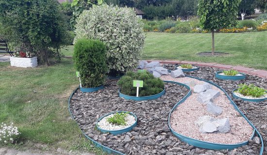 Практична робота