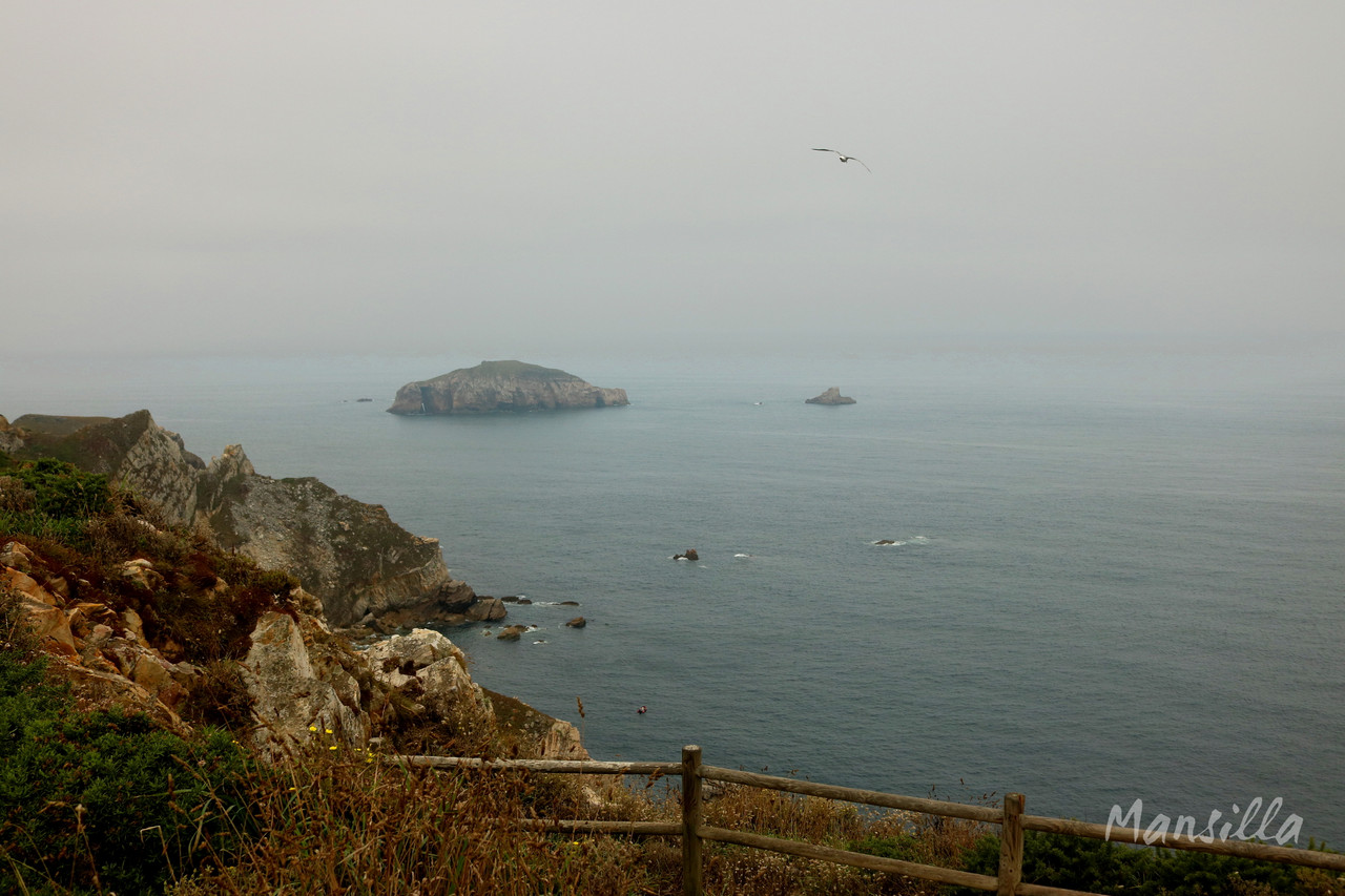 IMG-2230-CP