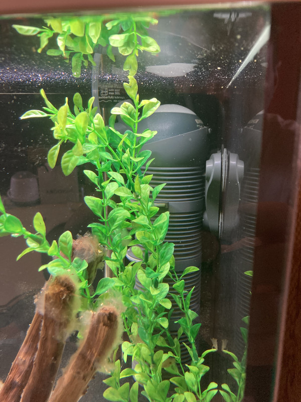 30D7FE70-FA80-4941-9FBD-359F5D67343D