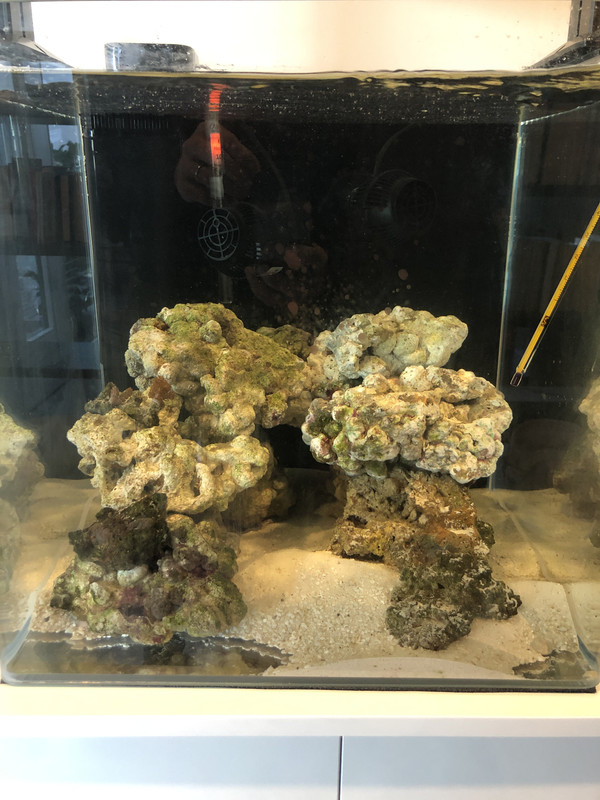 4C3FD4E8-375D-4922-82AF-CCA3E23A84F5