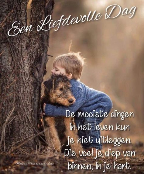 20db7cc81dc4372341f03eeb37590b27