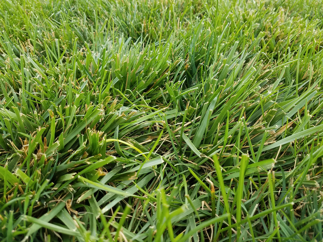 BF20E118-D8D9-4D15-9061-C017D3788180