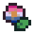 aroaceflux