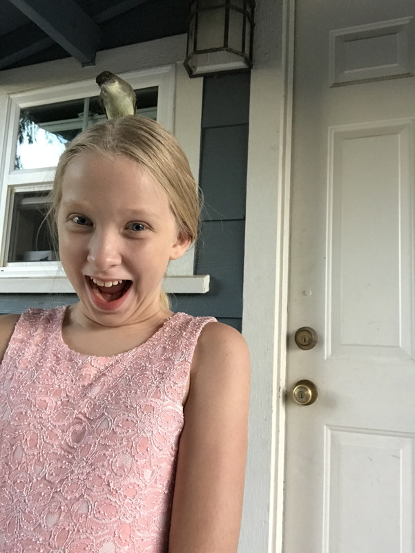 B6AC8836-1D40-4A73-9902-52FB8532AD14