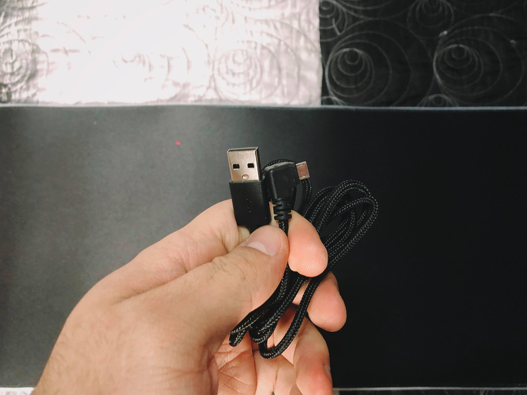 81565865-774471439719362-534181848437856