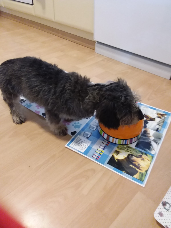 [Image: 20230817-181843.jpg]