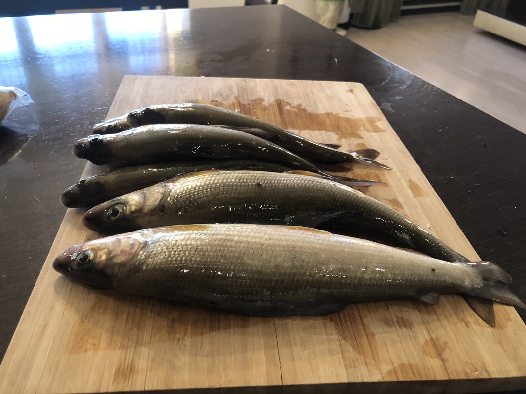 C7C246D6-3E3C-4B65-99DF-B3D5FEBFC1FA