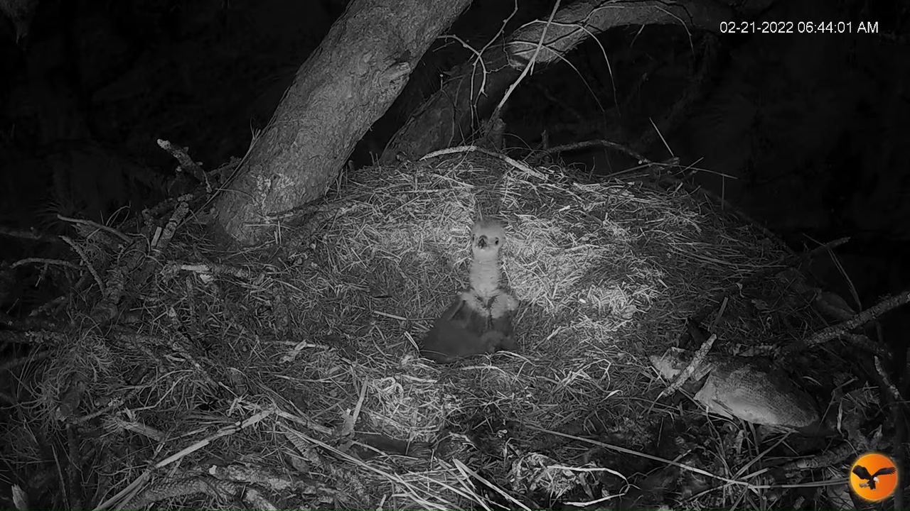 EC 4K Overhead Cam 15-32-12 screenshot