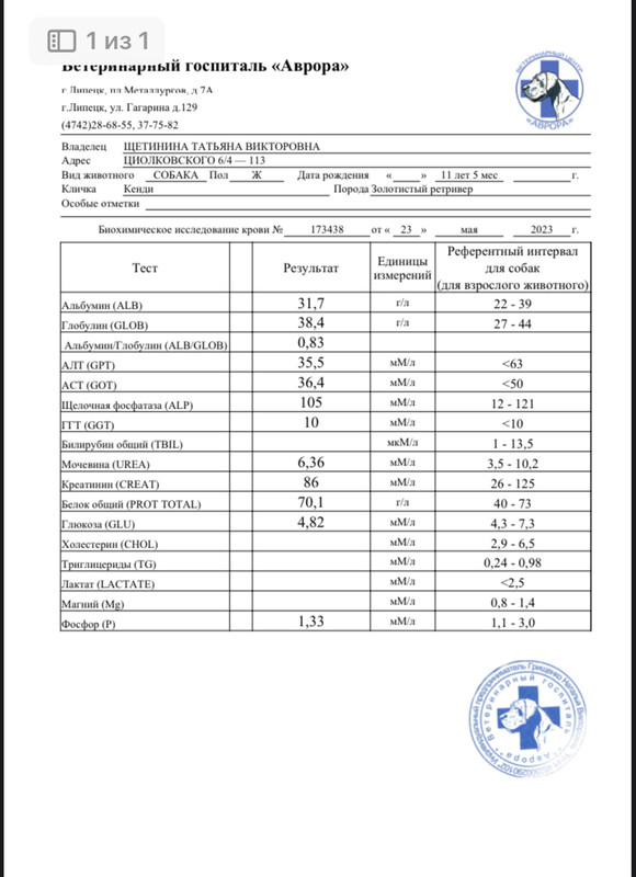 9DE80F05-271B-4208-9A55-BDEA1B15A289