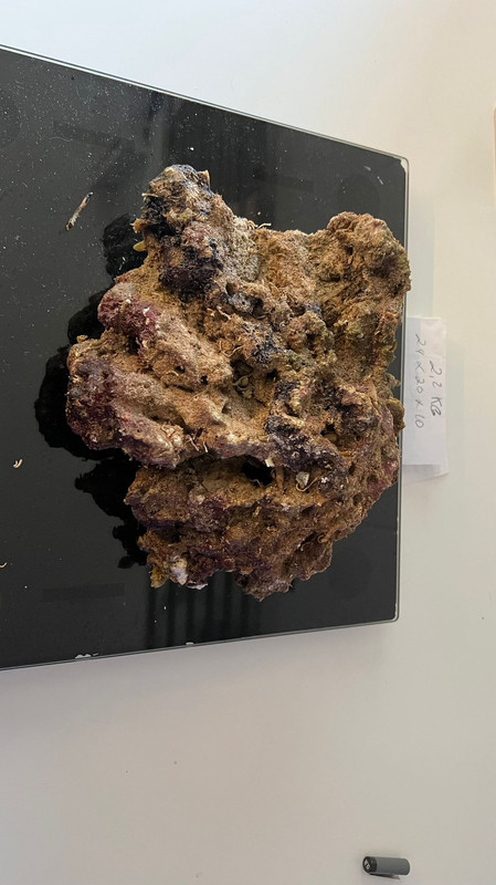 AE0CF5D5-A539-47EC-84D4-C8E8919E8947