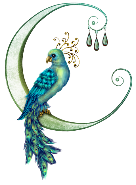 PeacockDreams_MM_Element (82)