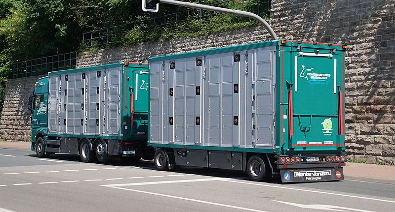 Porta Westfalica 22 05 2026h