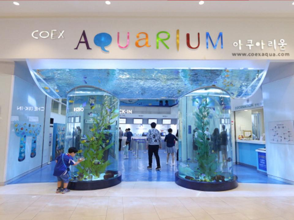 Coex Aquarium
