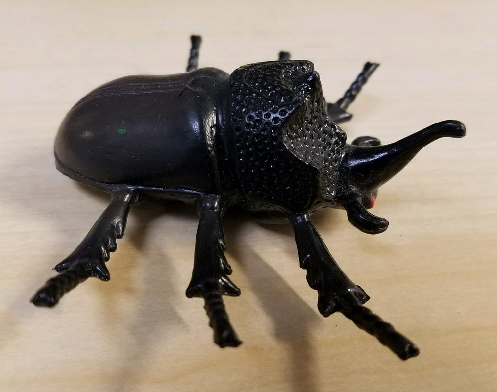 rhinoceros beetle toy