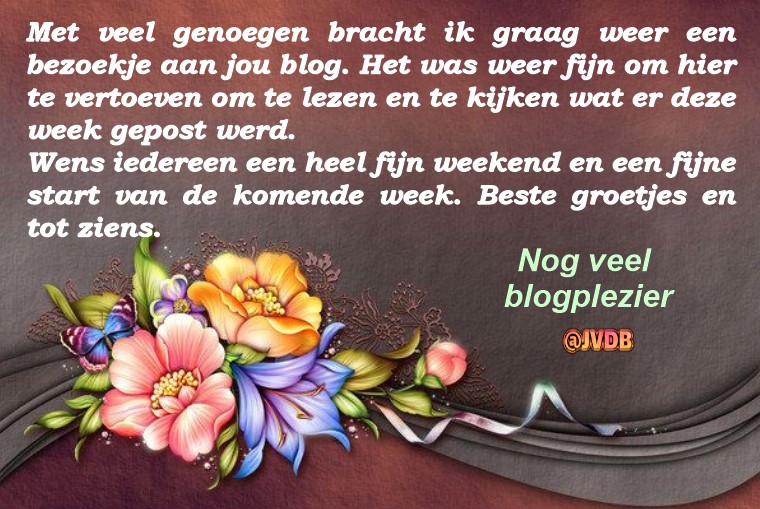 Blogplzier