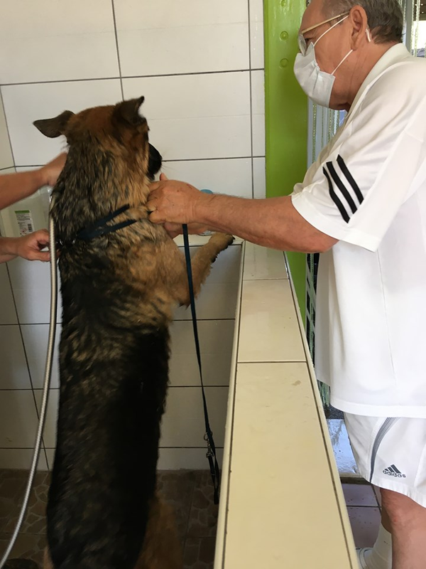 Kép