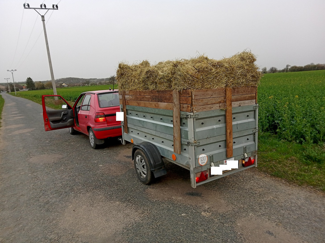 IMG_20240331_071210_MP