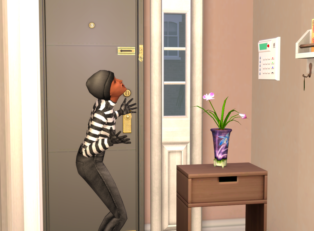 Sims2-EP9-RPC-2024-08-13-21-42-18-18
