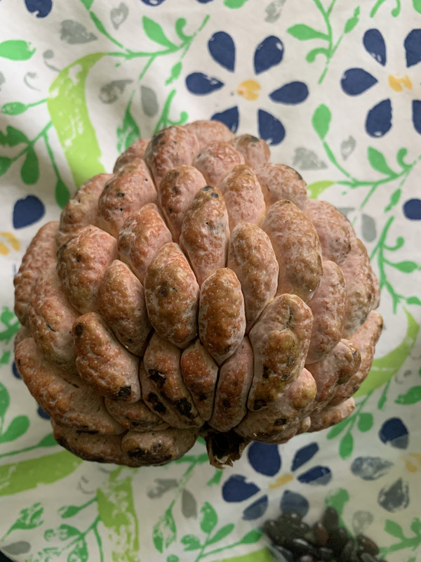 DC9D387C-C1DA-4926-97C0-90A13F1490C2