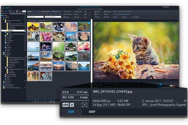 Ashampoo Photo Commander v16.3.3 Multilingual