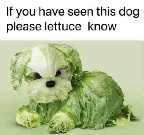 lettuceknow.jpg