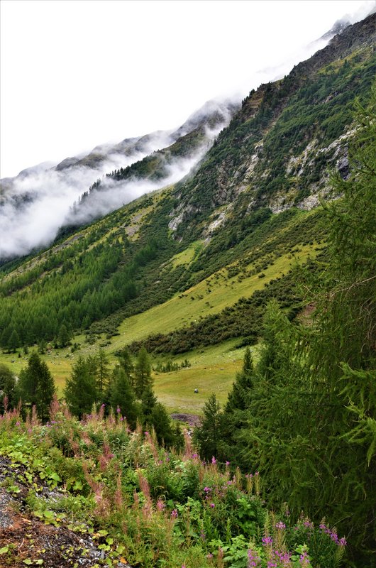 GUARDA-7-9-2019 - Suiza y sus pueblos-2019 (31)
