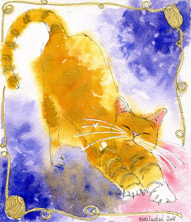 06
