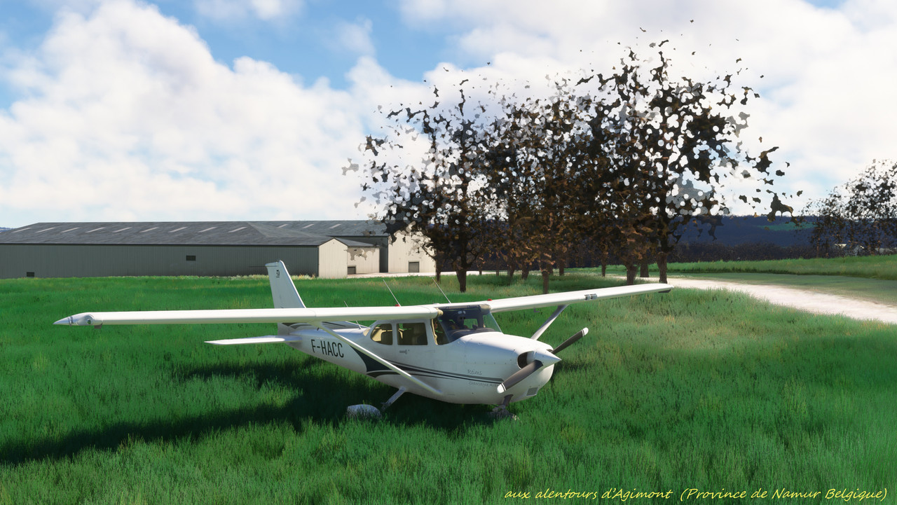 FVFR-NE-4.jpg