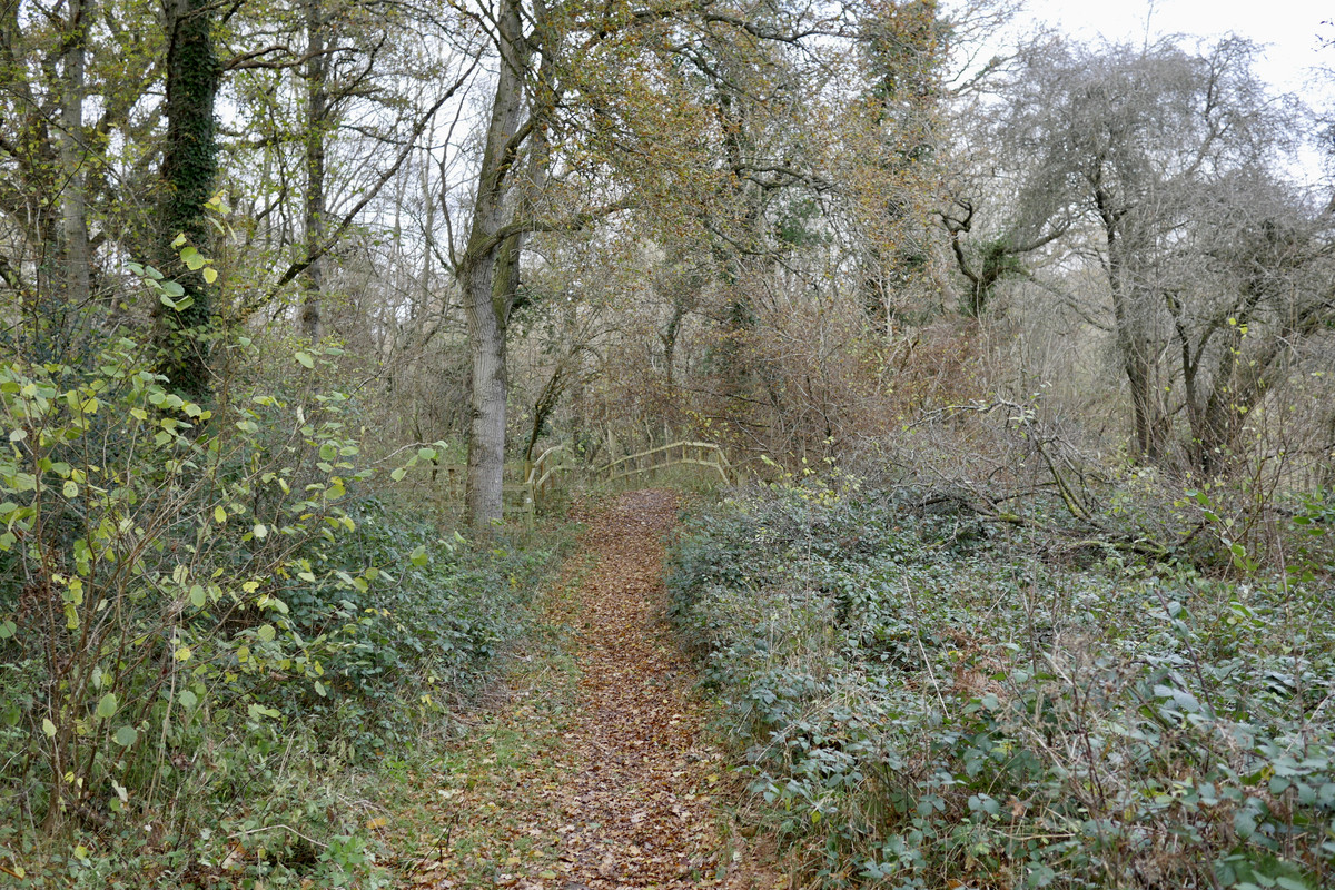 27FE29D1-A7A7-4306-9D01-54A511A734CA