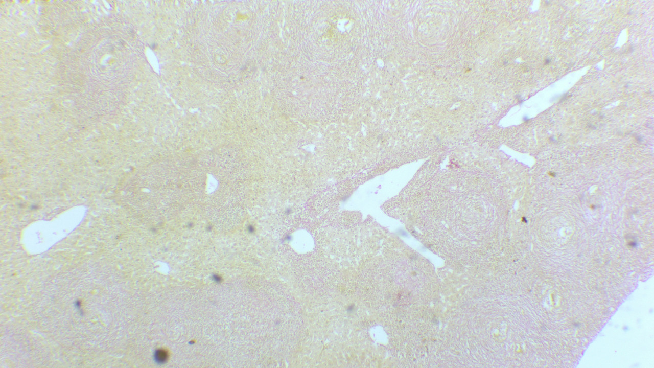 cntrl4(4)