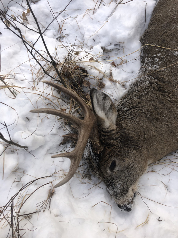 1B492317-15E9-439E-8FAE-C8656C3C9642