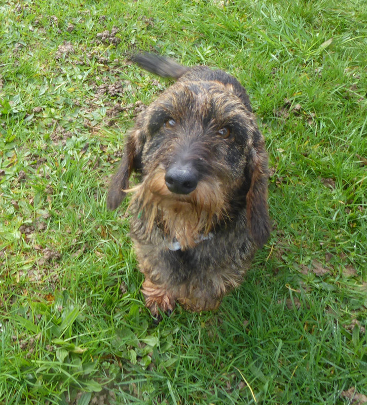 [Image: P1040050.jpg]