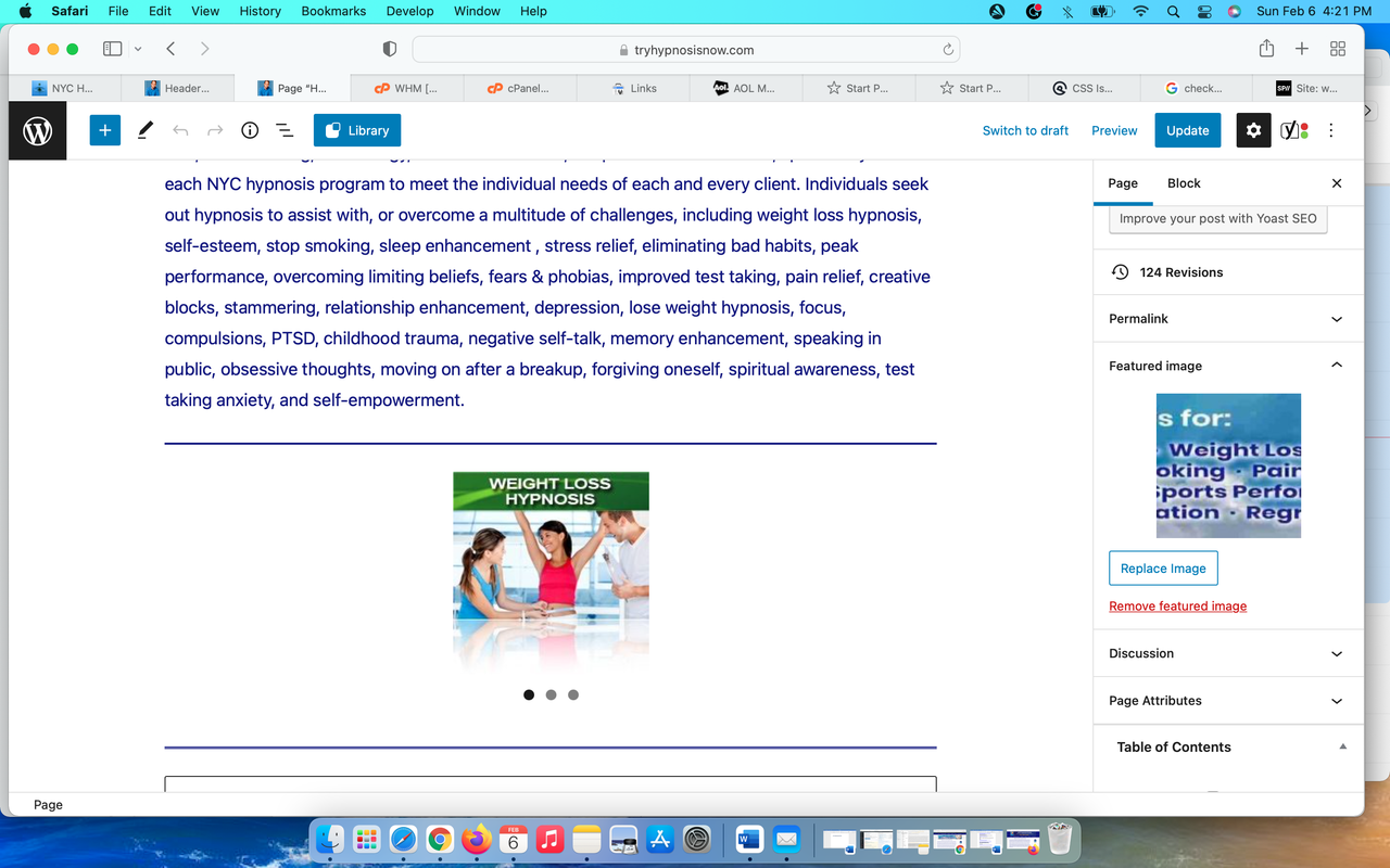 Screen Shot 2022-02-06 at 4.21.16 PM