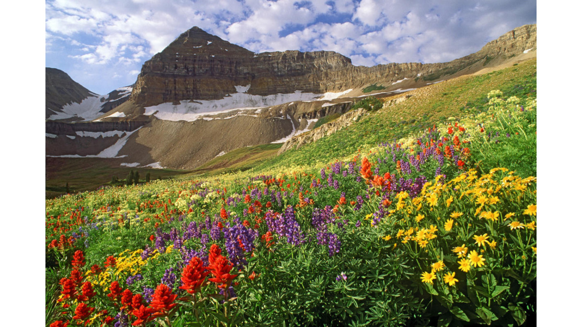 Peak-A-Week: Mount Timpanogos