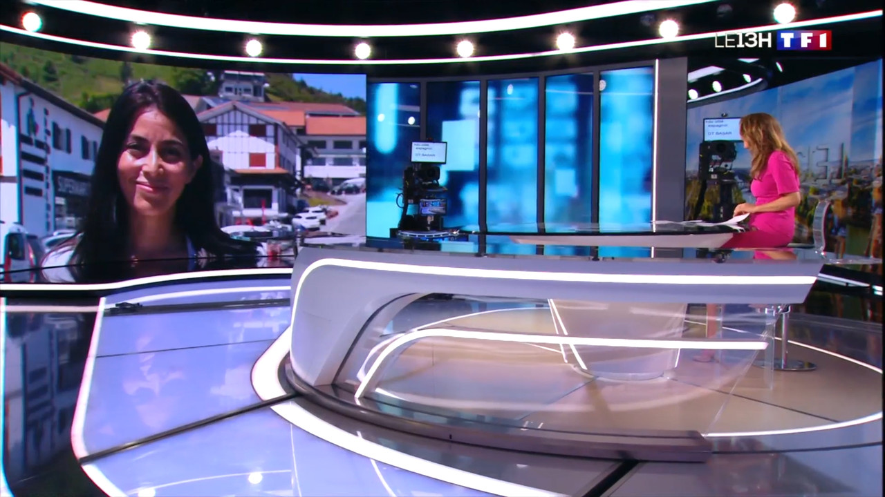 2020-06-21_13_00_TF1_Le-13h.mp4_snapshot_11.04.695