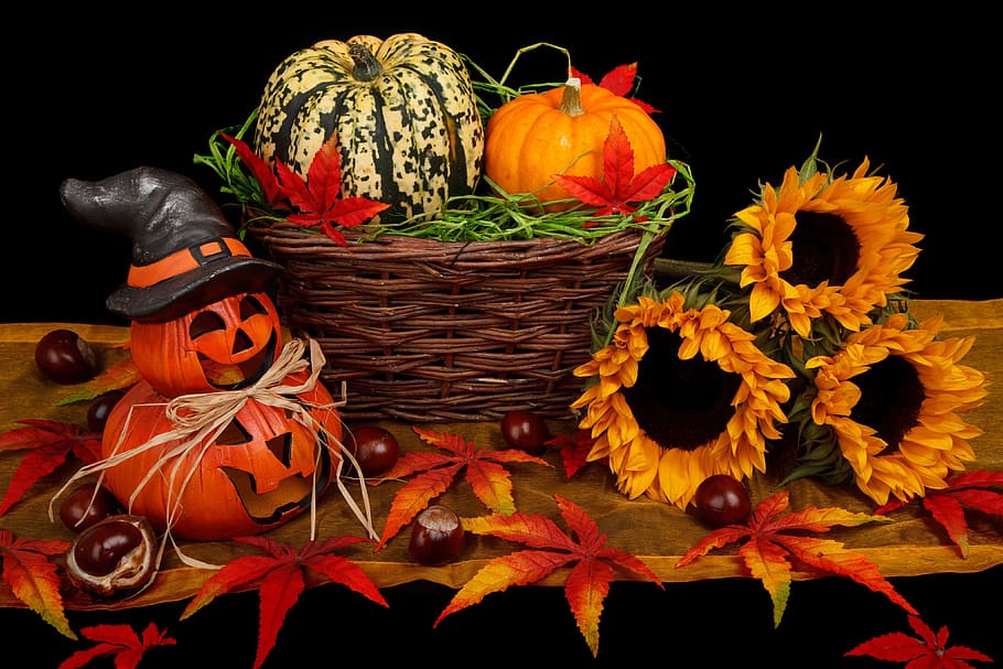 [Image: autumn-black-dark-decoration.jpg]