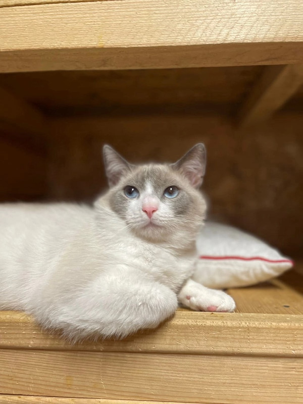 СеменПетрович