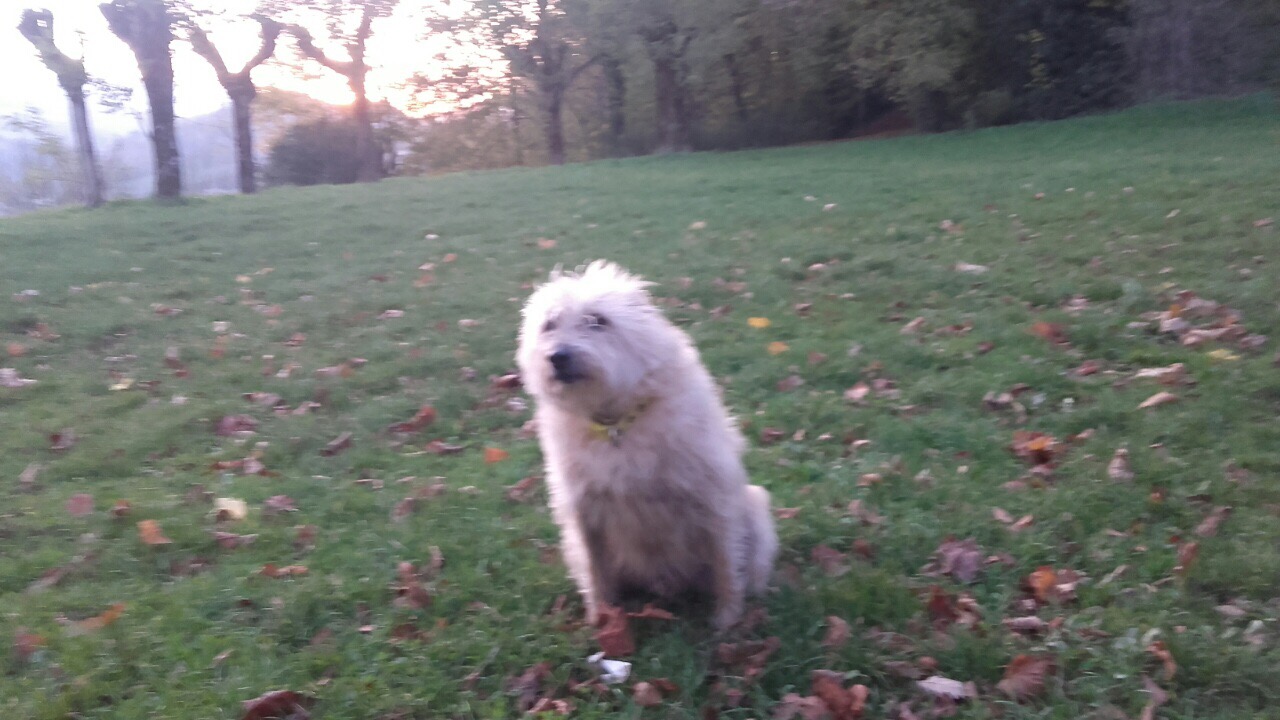 8F1EC978-7DC4-44E2-903C-639A3CCFFF8D