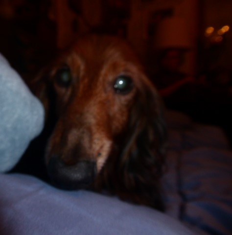 [Image: P1050839.jpg]