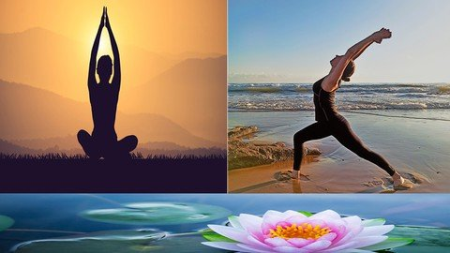 Yoga For Beginners. Challenge 10 Sessions Of 20'.