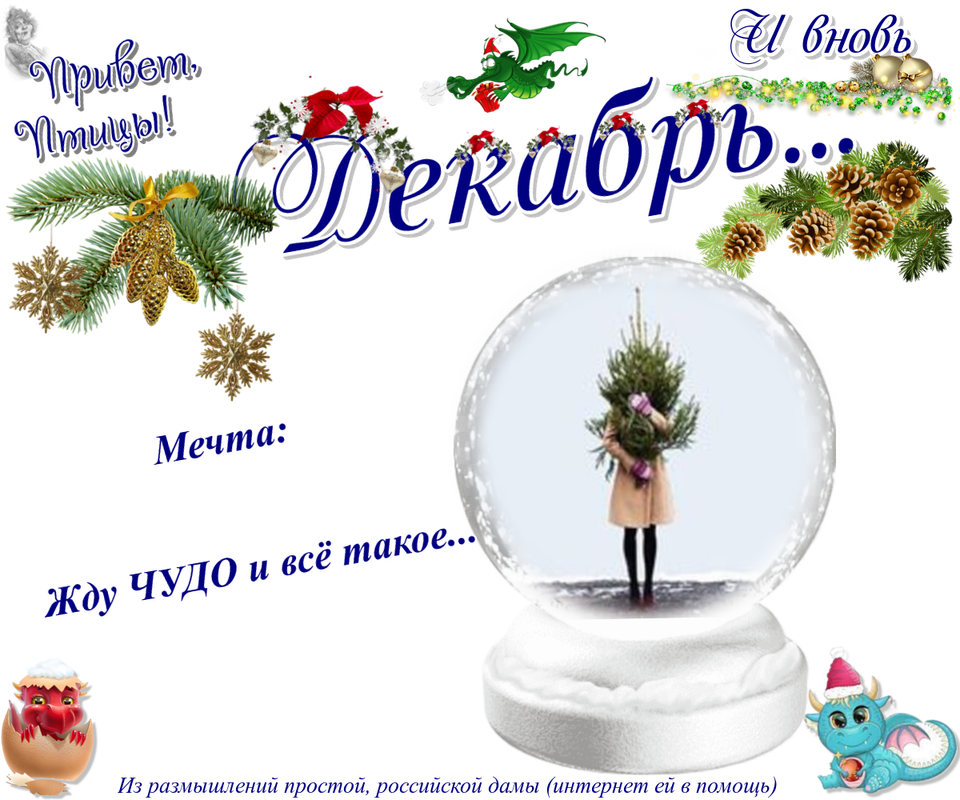 https://i.postimg.cc/hPKmgcSK/15-12.png