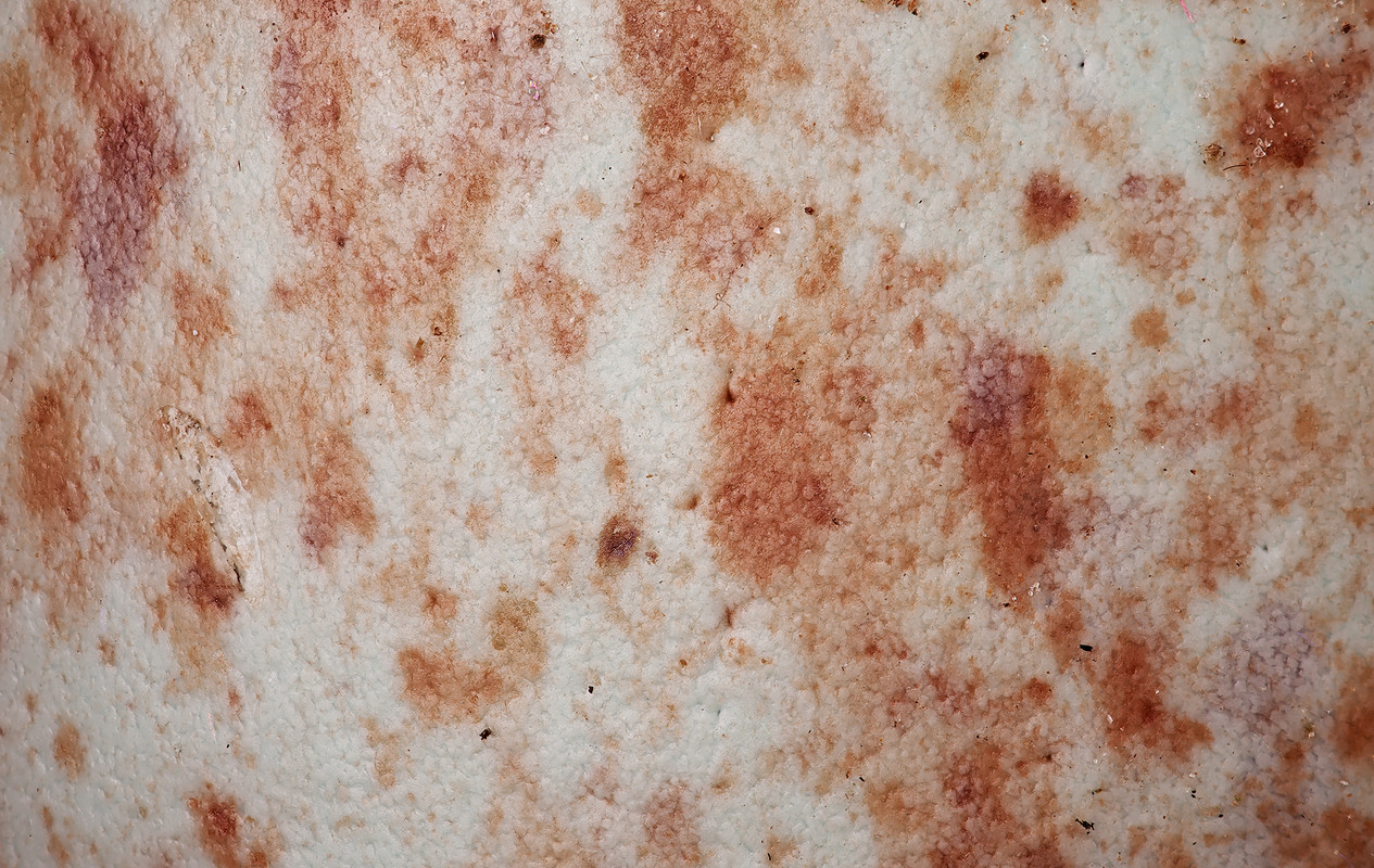 oeuf_exterieur2000px5x