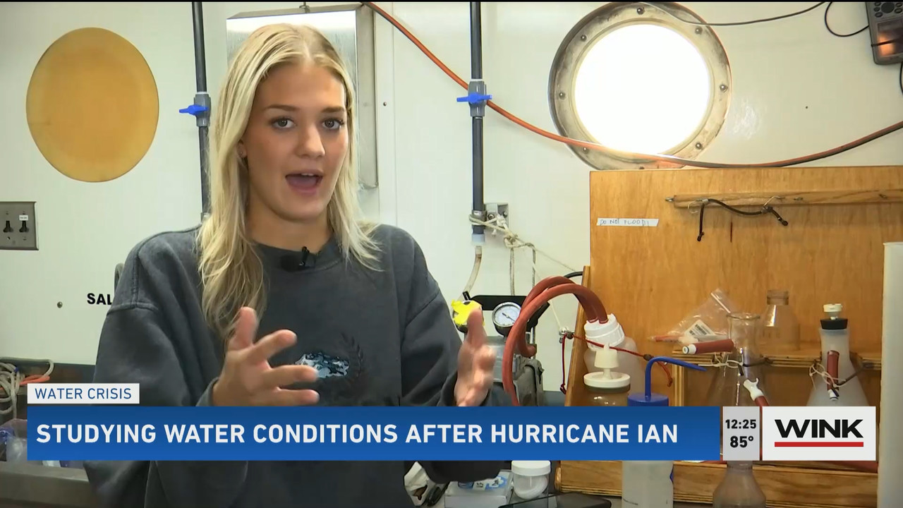 10.24 - 17.00.00 - The WINK Noon News  ᴺᵉʷ. Midday news update..ts_snapshot_32.08.679