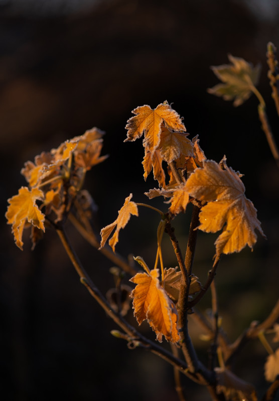 IMG-8d370ddaf1c00062e060aa5c3329aaa6-V