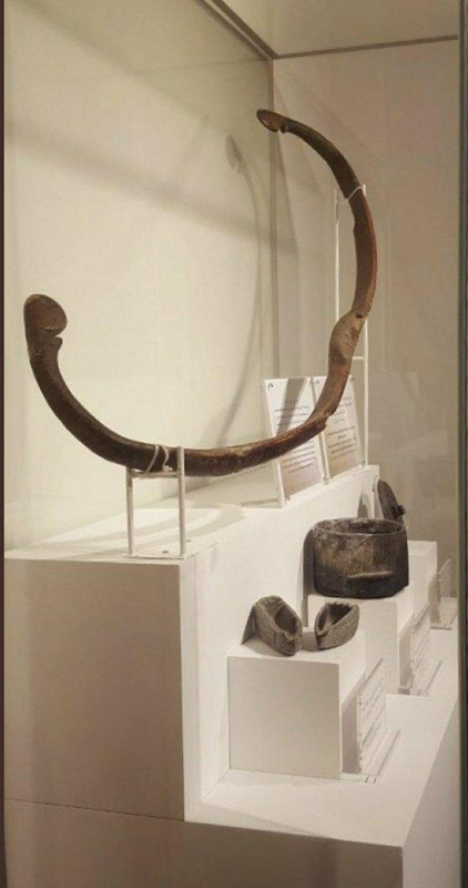 5aea5583-753d-46b8-98ce-217e6d09f926