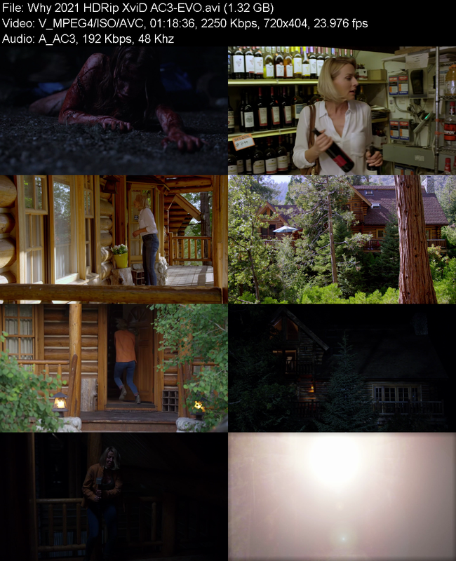 why-2021-hdrip-xvid-ac3-evo.png